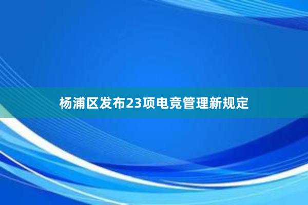 杨浦区发布23项电竞管理新规定